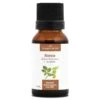 RONCE - Macérat De Bourgeons BIO