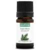 SAPIN BLANC - Huile Essentielle BIO