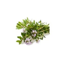 SARRIETTE DES MONTAGNES - Huile Essentielle BIO -Aroma Nature Bien-Être sarriette des montagnes huile essentielle bio 3