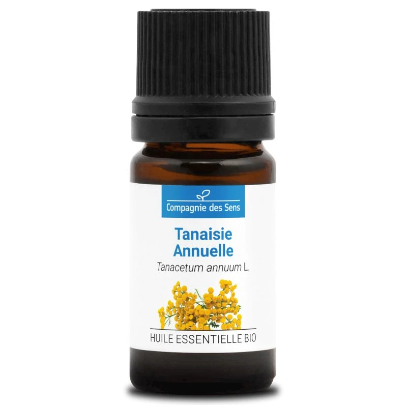 TANAISIE ANNUELLE - Huile Essentielle BIO 2 TANAISIE ANNUELLE - Huile Essentielle BIO – Image 2