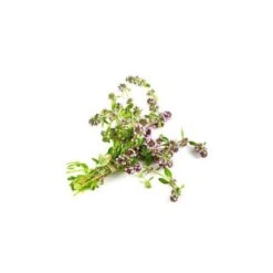 THYM À LINALOL - Huile Essentielle BIO -Aroma Nature Bien-Être thym a linalol huile essentielle bio 2