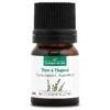 THYM A THUJANOL - Huile Essentielle BIO