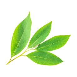 VERVEINE EXOTIQUE - Huile Essentielle BIO -Aroma Nature Bien-Être verveine exotique huile essentielle bio 5