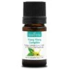 YLANG YLANG COMPLÈTE - Huile Essentielle BIO